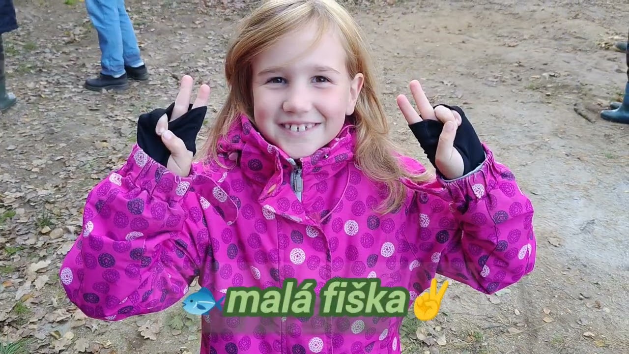 Mix výlovů 🐟 dvou malinkých jihočeských rybníčků...