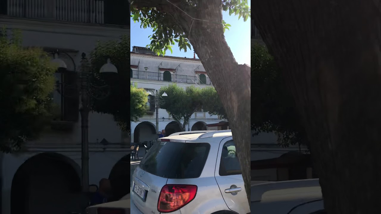 VIVERE VENOSA DURANTE LA FESTA DI SAN ROCCO ...