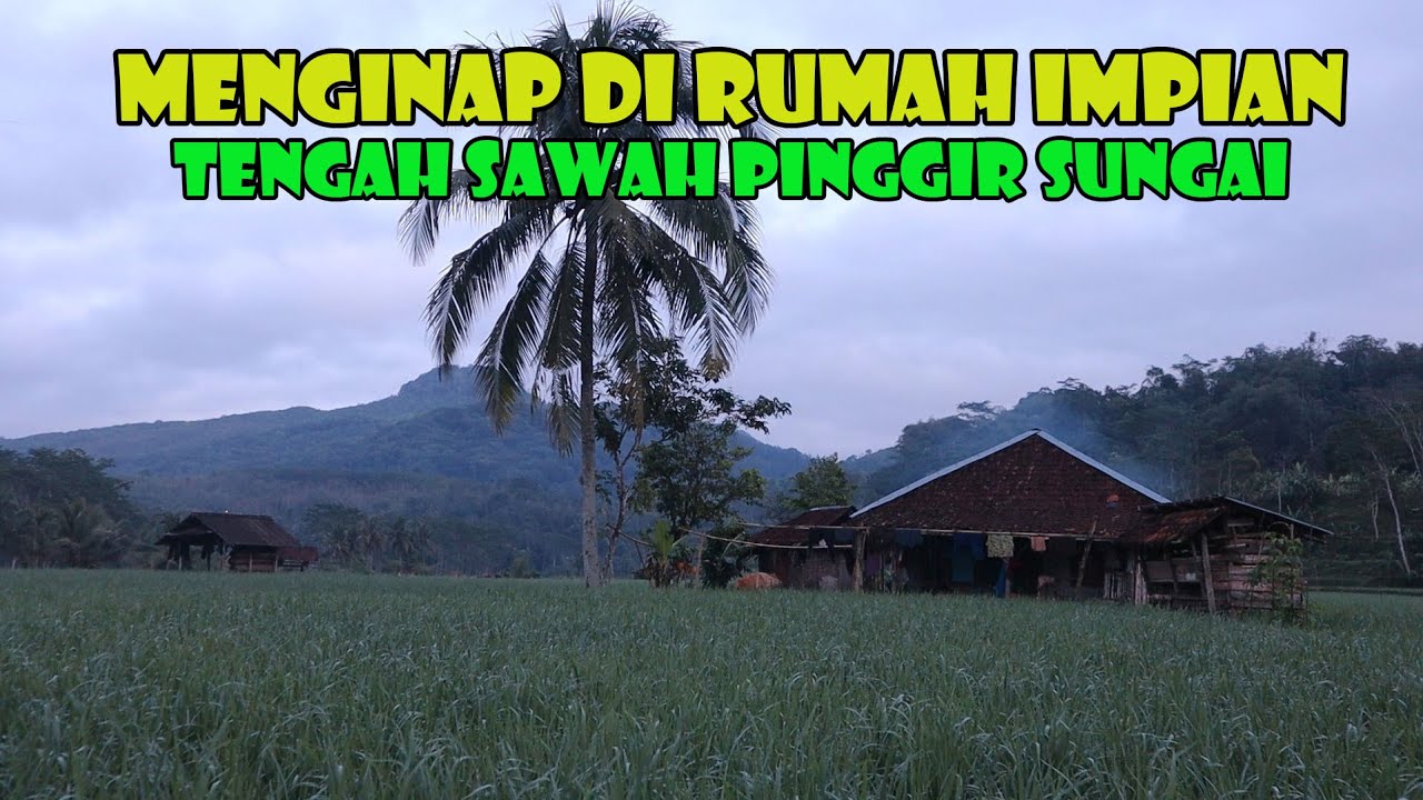 Menginap Di Rumah Tengah Sawah, Sungai Dengan Suasana Alam Yang Asri..Idaman Banget.