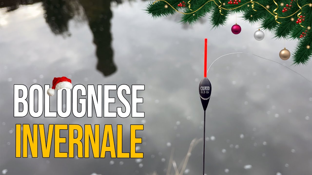 Pesca Bolognese | Alla ricerca dei Difficili Pesci Invernali - Buon Natale Ragazzi!