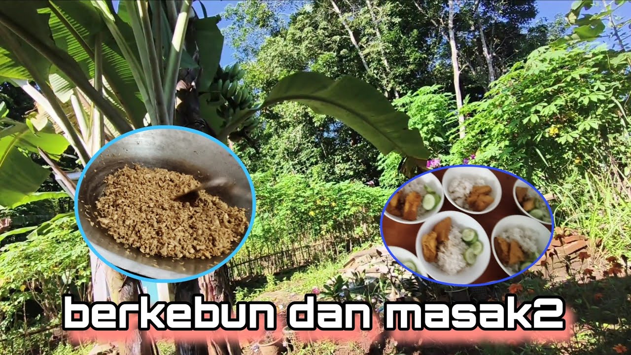 Berkebun dan masak2 #egoadriano #pedulikemanusiaan #partitv #denisumargo #sosial #petualangan #lucu 