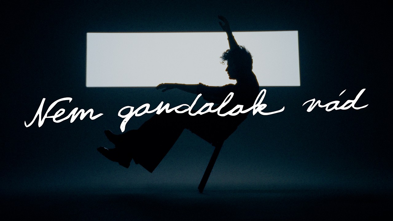 Mehringer, sosehol - NEM GONDOLOK R&Aacute;D