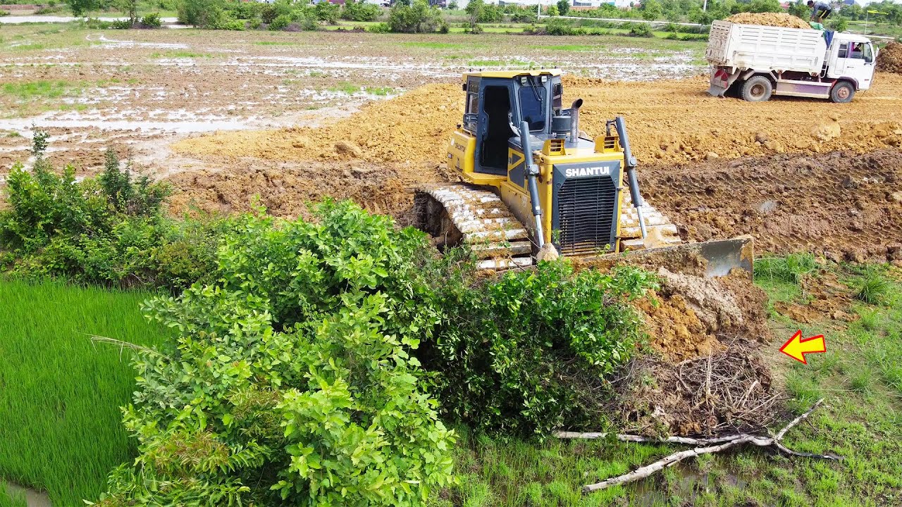 Best Project with an Amazing SHANTUI DH17-C2 Dozer in Action
