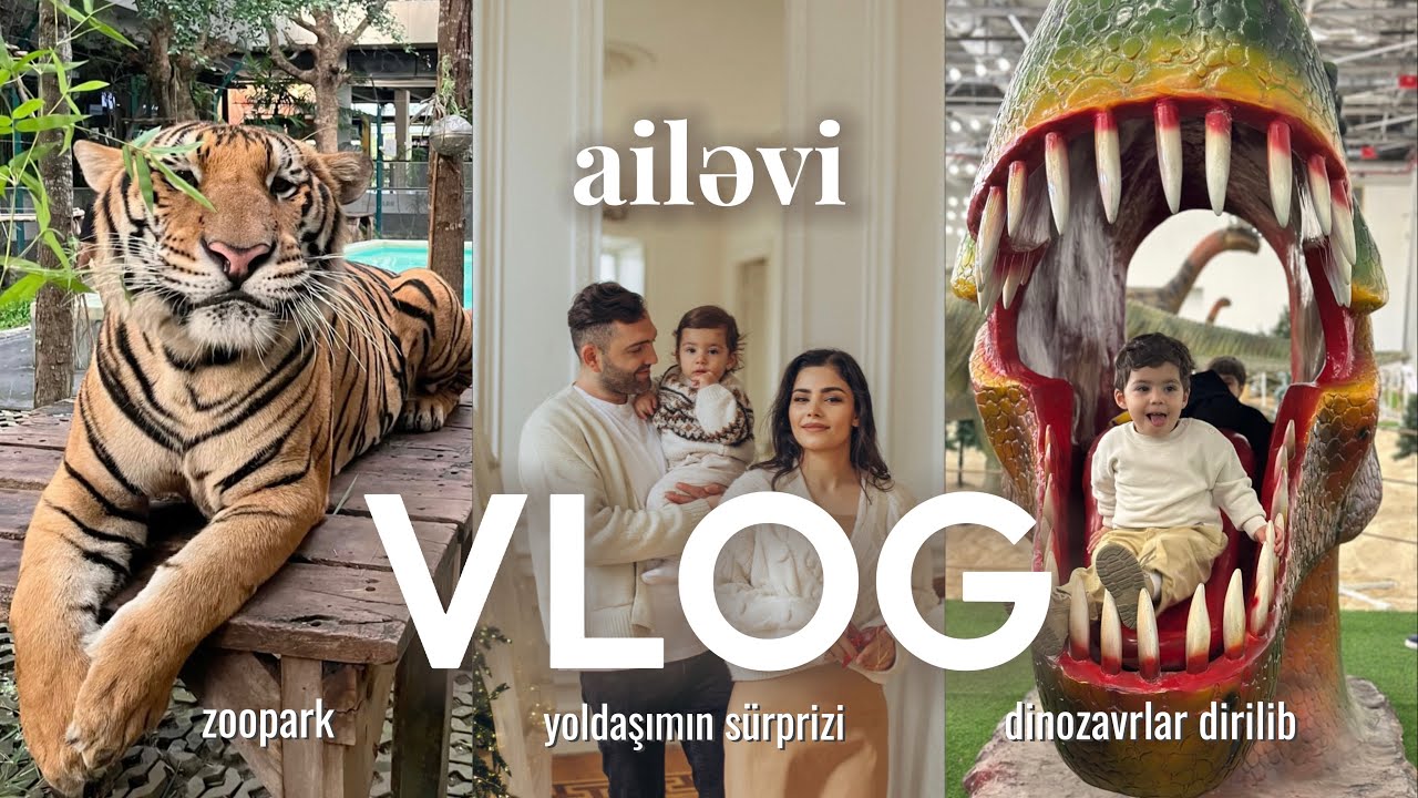 Yoldaşımın sürprizi 😍| dinozavrlar dirilib 🦕| Zoopark | intuisiya