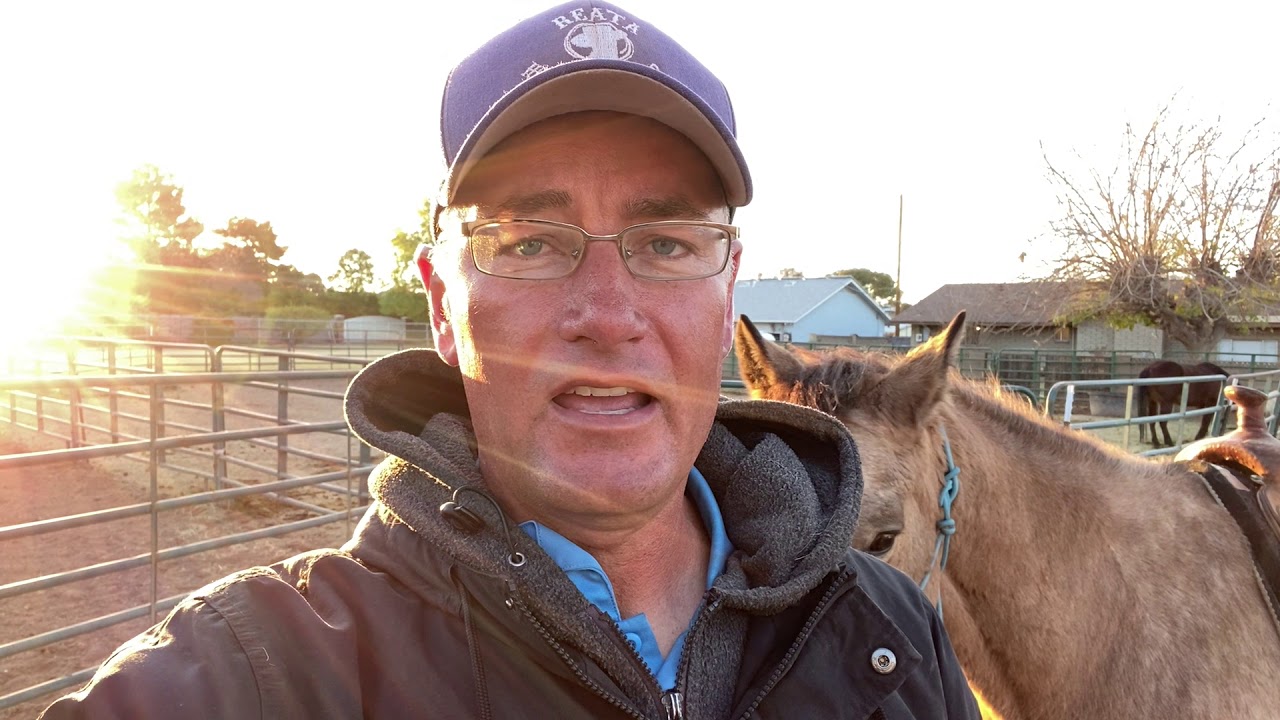 Training Tip Tuesday!  How to help your horse understand flag cues on the ground.