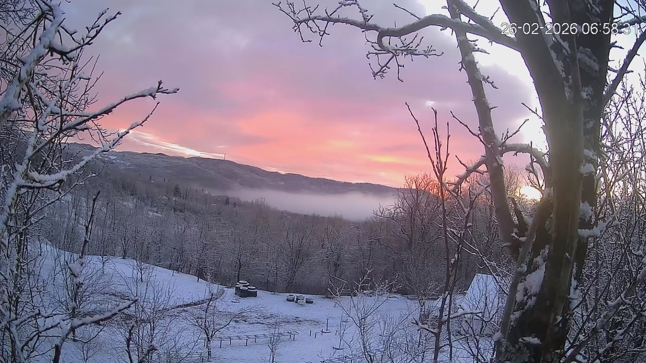 Ariceștii Zeletin [Februarie 2026] [IV]