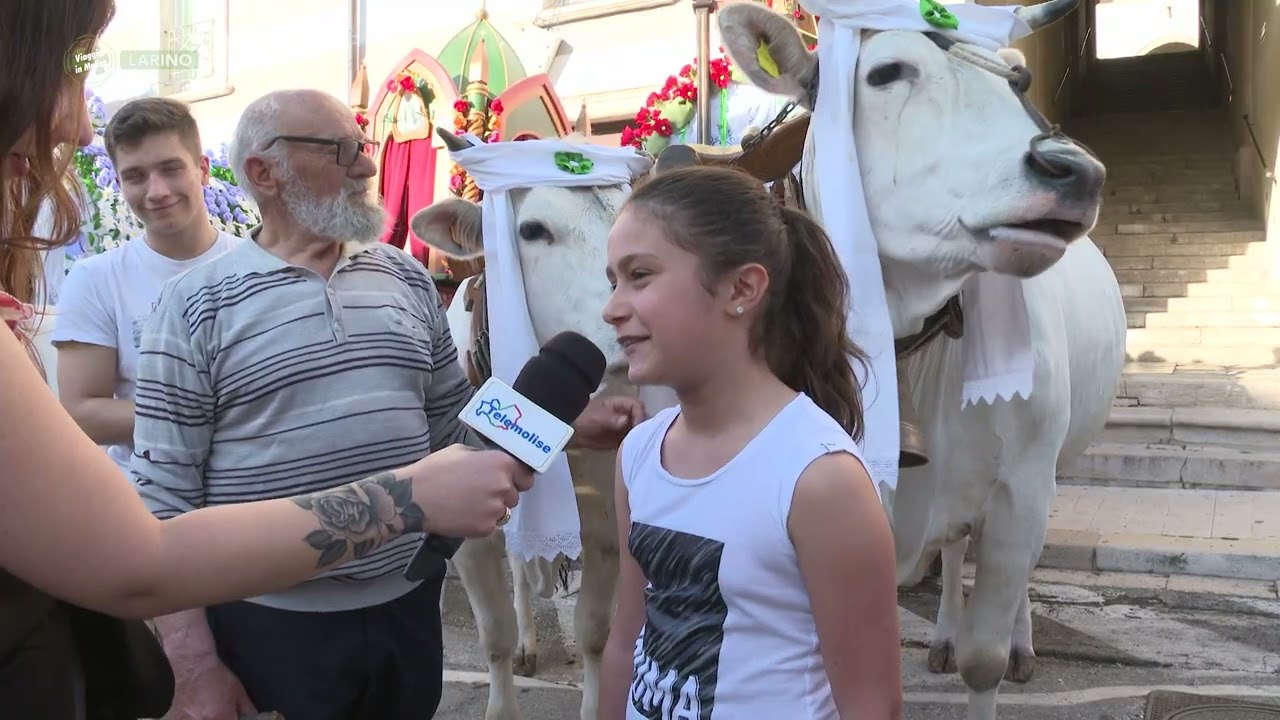 Larino - San Pardo 2023 - Puntata 8714 - 02 - Viaggio in Molise - Telemolise