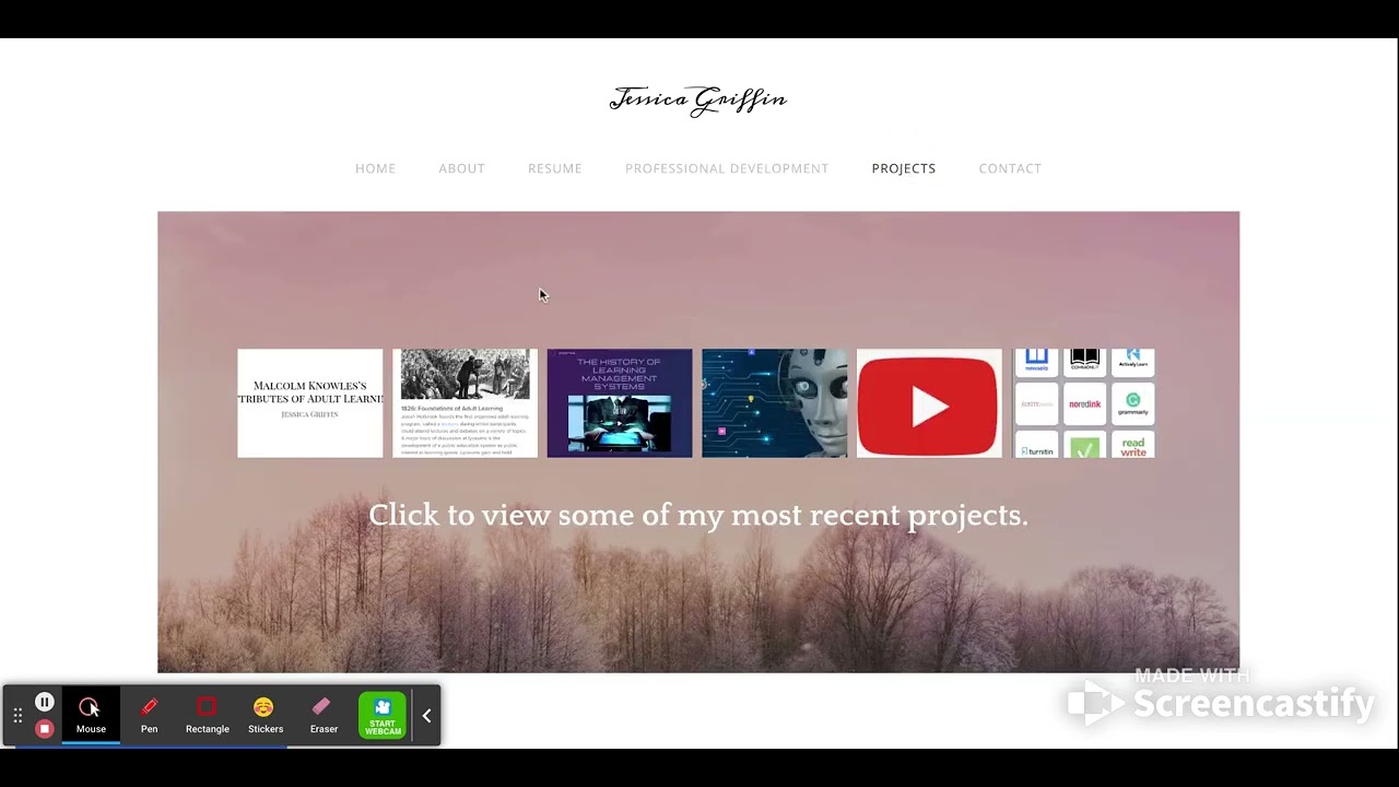 Professional Portfolio Tour