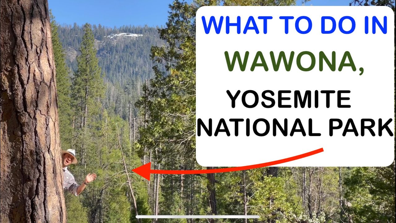 The Top 3 Activities to do in Wawona, Yosemite National Park