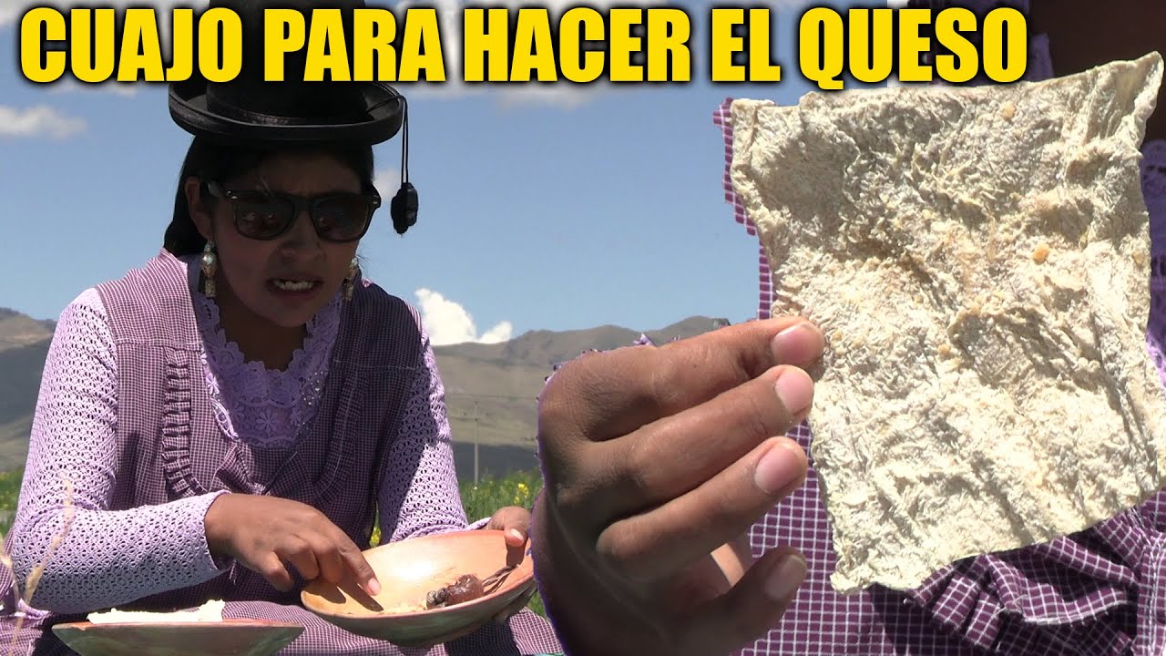 COMO SE ASE EL CUAJO NATURAL PARA HACER QUESO HOY TE LO EXPLICO - CHOLITA JULIA