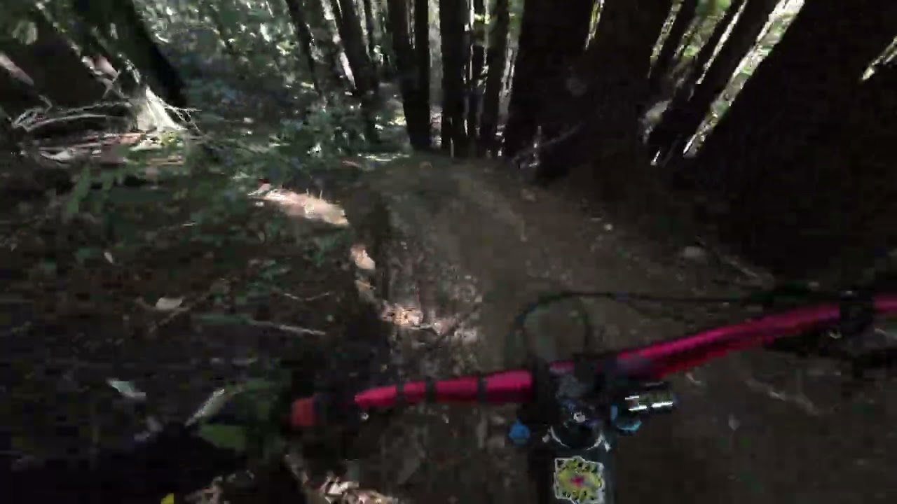 UCSC Wizzard Trail ⚠️