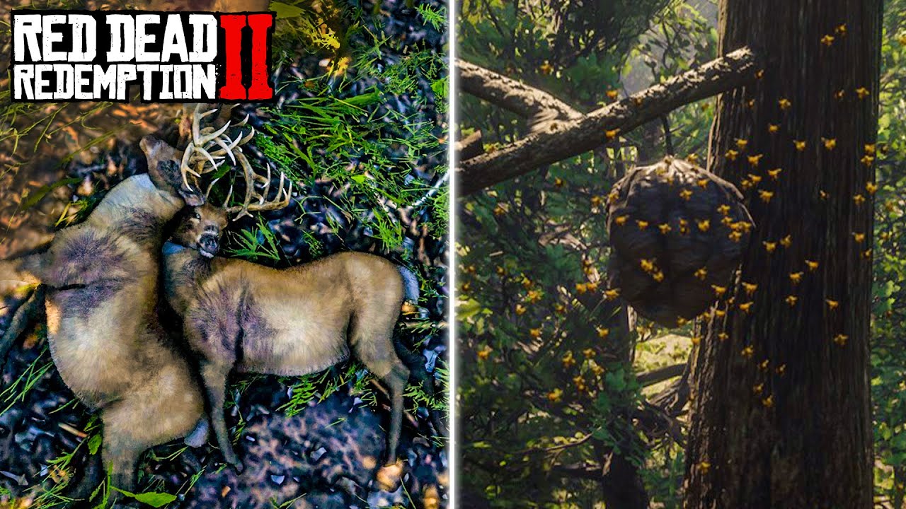 5 Secrets You Didn't Know About #1 (Red Dead Redemption 2)
