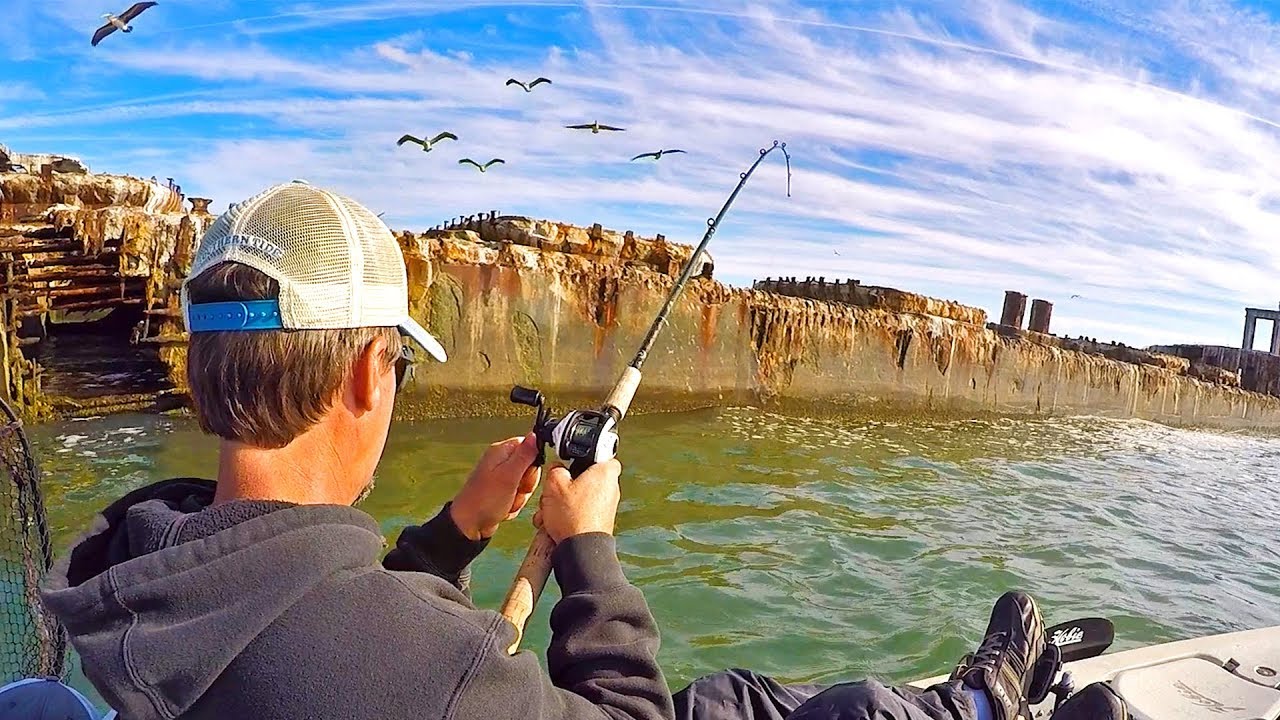 Using LIVE and ARTIFICIAL Bait For A KILLER Mixed Bag Day of Fishing!