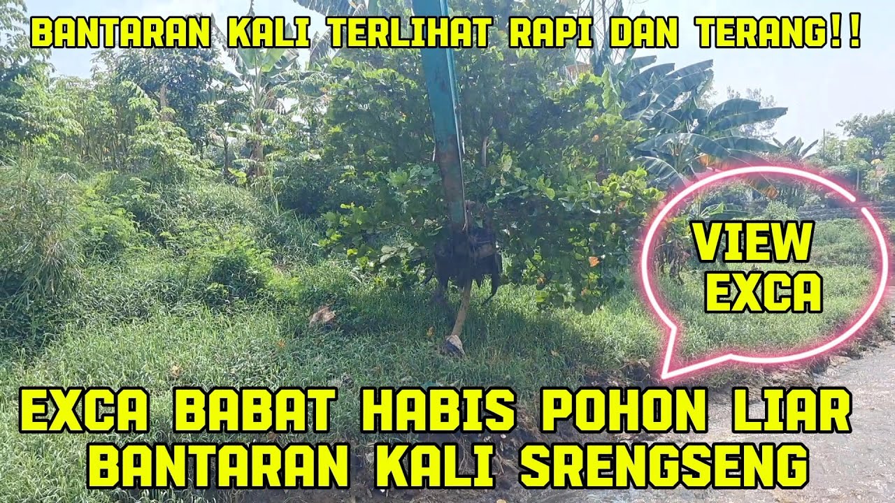 Gaspoll!! EXCAVATOR BABAT HABIS POHON LIAR BANTARAN KALI SRENGSENG TAMBUN SELATAN #dedimulyadi