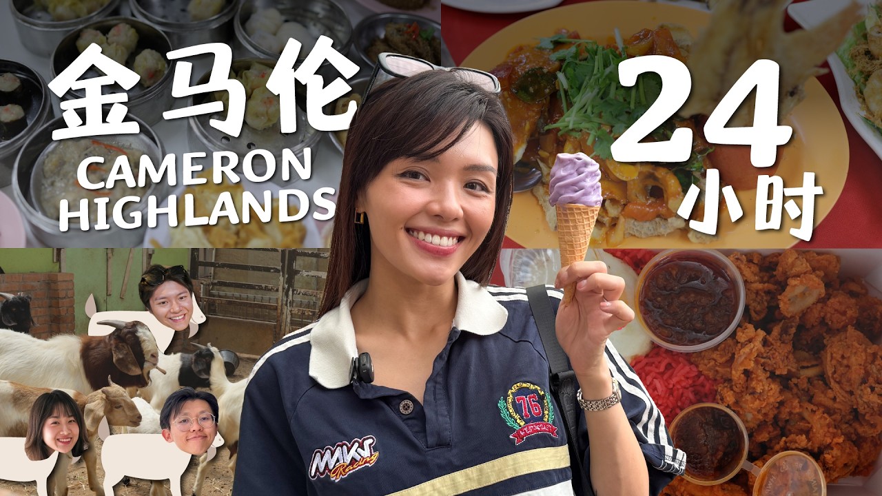 18°C 的金马仑高原，我们真的不想回城市了 | 48 Hours in Cameron Highlands Pt 1