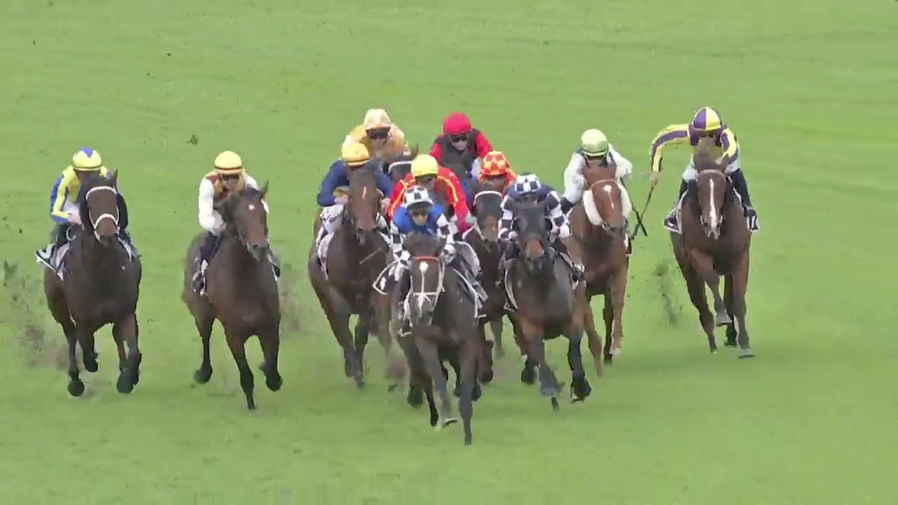 Drinkwise Mile {Pam O&rsquo;Neill Stakes} 2024 - MARACANA (3YO+ G3 SWP FM) Group 3 Doomben 25 May