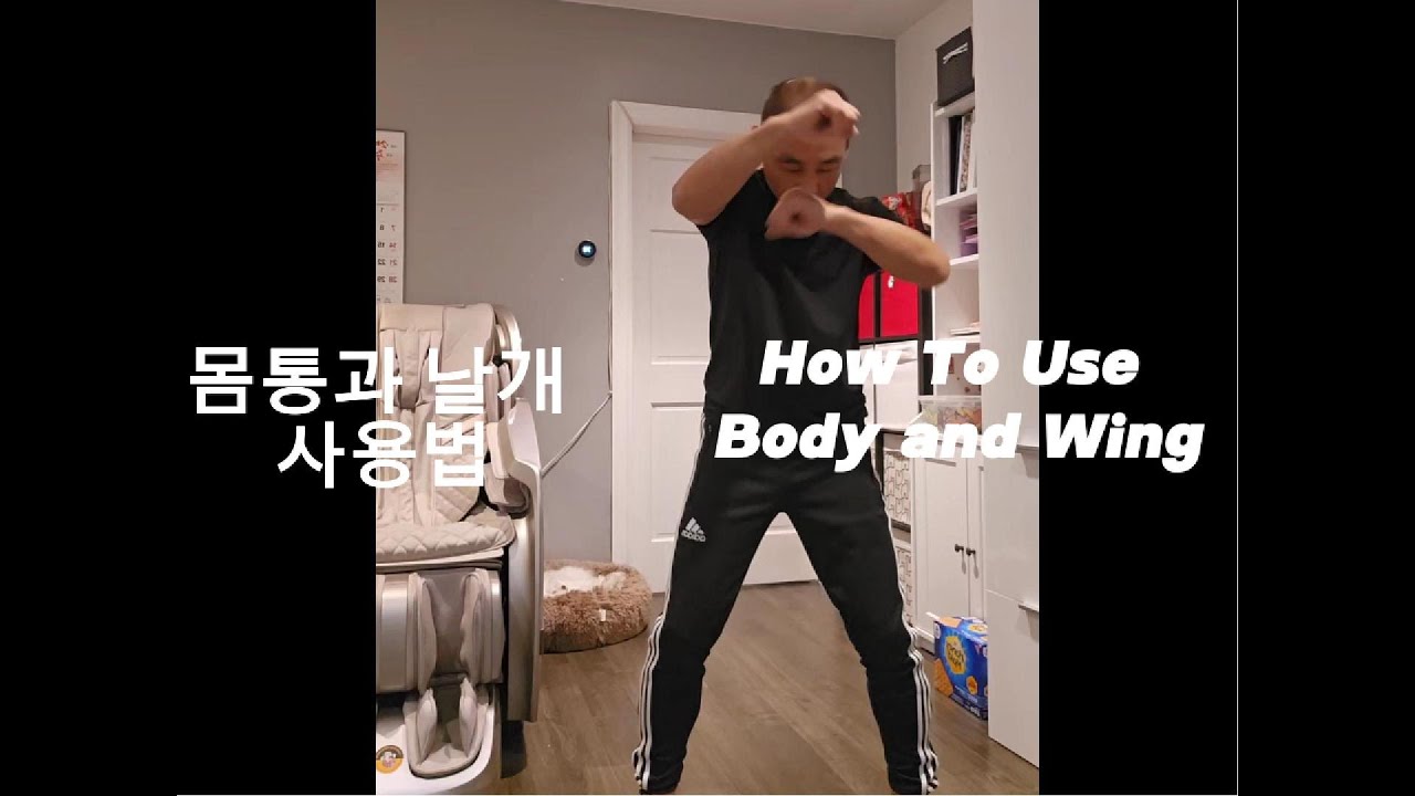 몸통과 날개 사용법 / How To Use Body and Wing