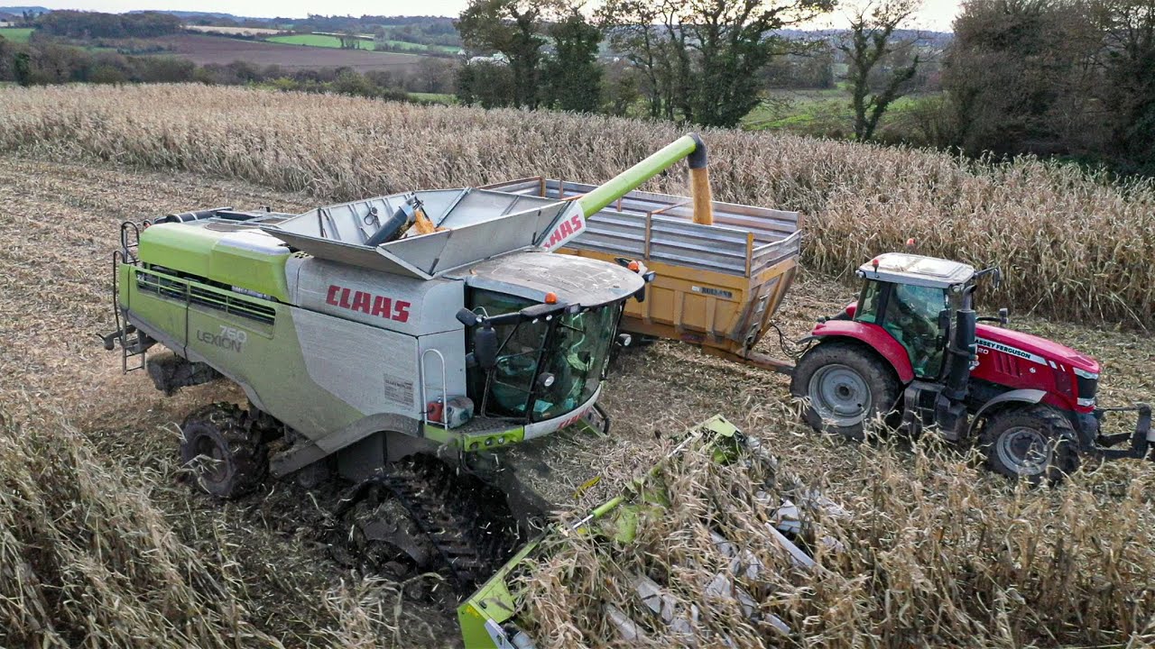 Maïs grain 2020 I Claas lexion 760 à chenilles I Moulin adapté sur ensileuse Mengelé I ETA POULIQUEN
