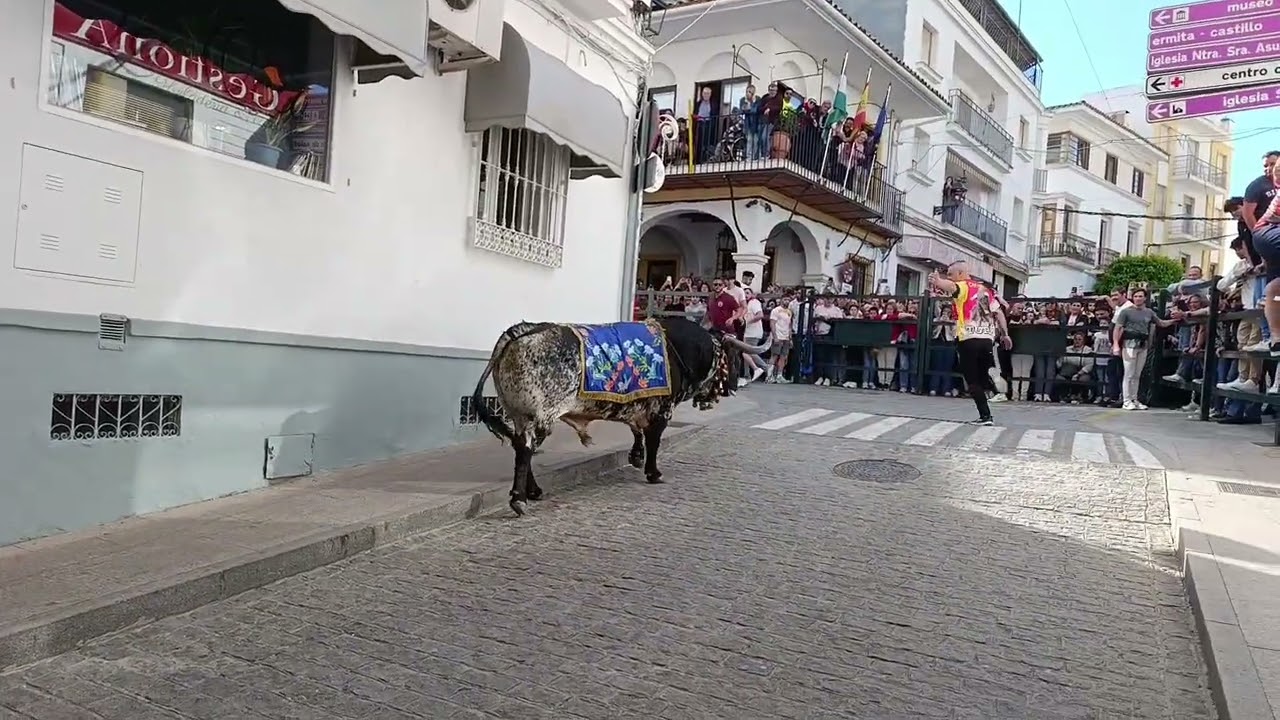 Carcabuey (10-5-25) Toro de Madroñiz/ 18:00 h.