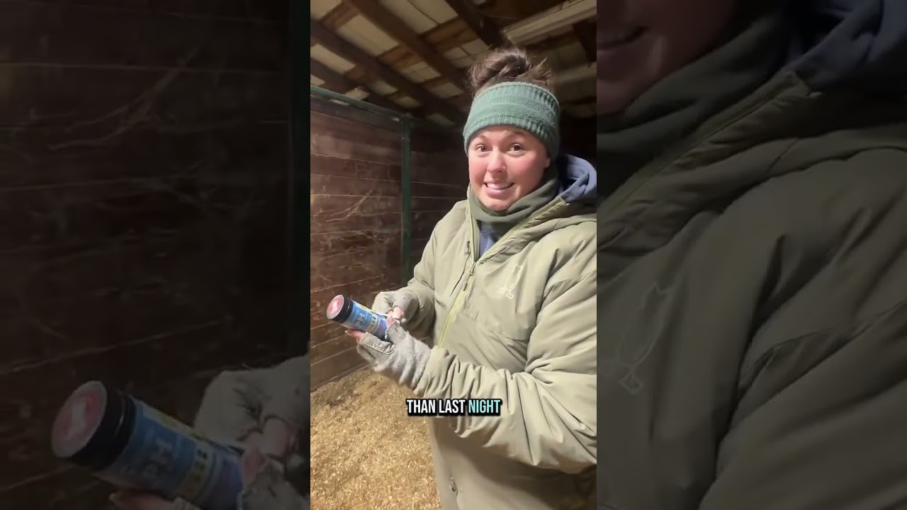 Let&rsquo;s test the pH of my pregnant mares&rsquo; milk to see when they&rsquo;re due! #babyanimals #foalingseason