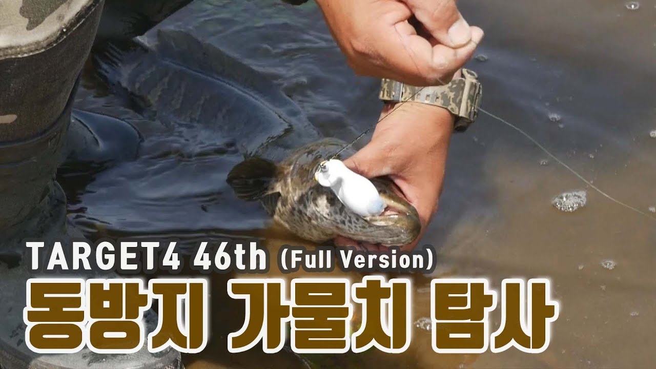 여름패턴 동방저수지 가물치 탐사 [46th_TARGET]