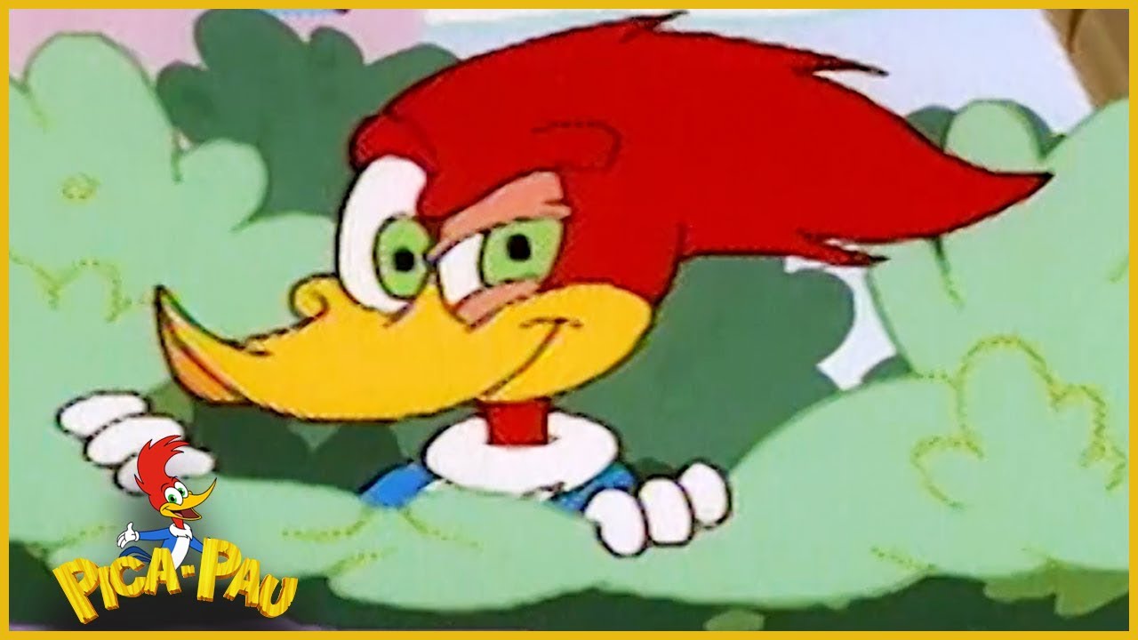 Pica-Pau em Portugu&ecirc;s | Meany Vai se Mudar | Compila&ccedil;&atilde;o De 1 Hora | Desenhos Animados