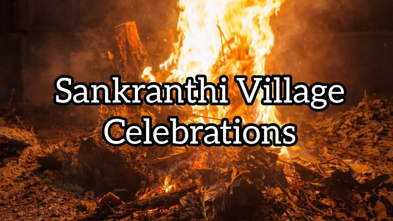 Sankranthi Celebrations in my Village❤️ #sankranthi #bhogi #gobbillu #sankrathimuggulu 
