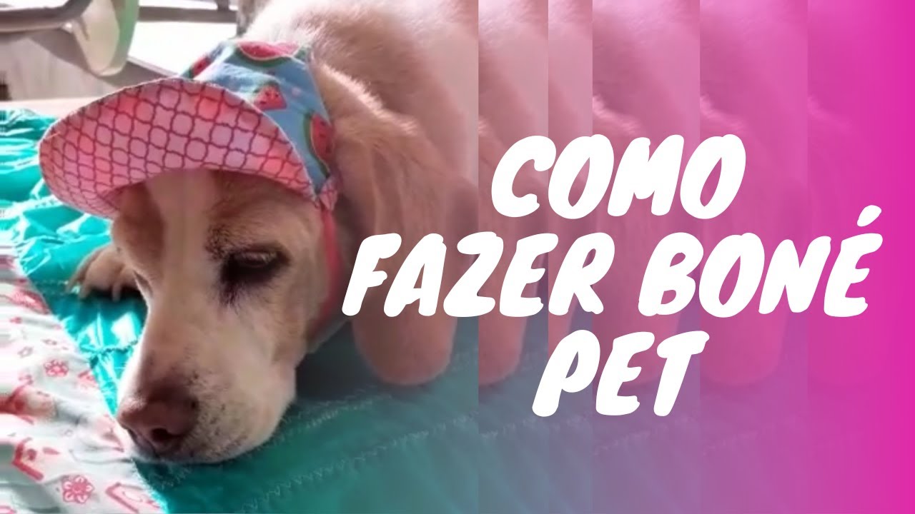 Como fazer boné pet 🐶🐾