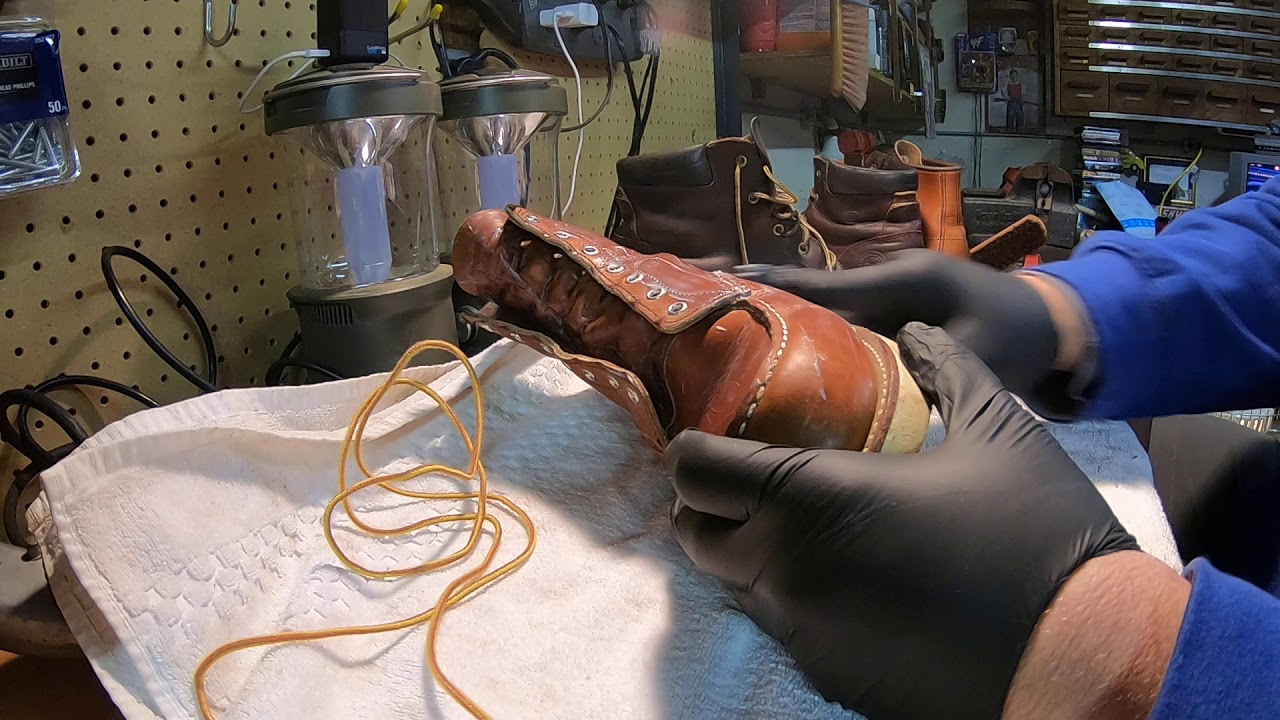 One year Update on Irish Setters Ashby by Redwing.