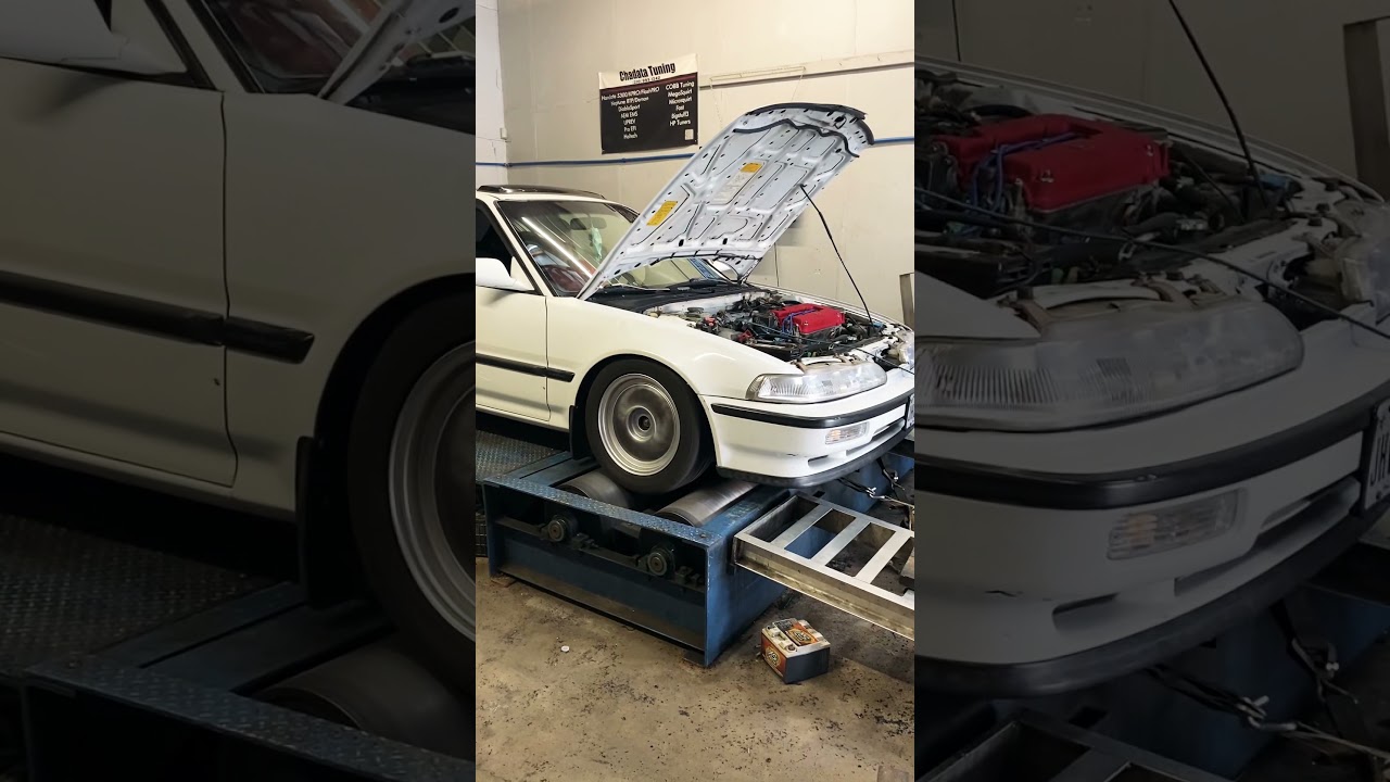 Da9 b20v dyno