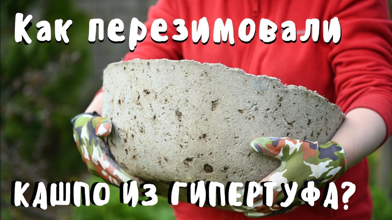 Что с моими садовыми проектами спустя время / Обзор старых садовых проектов