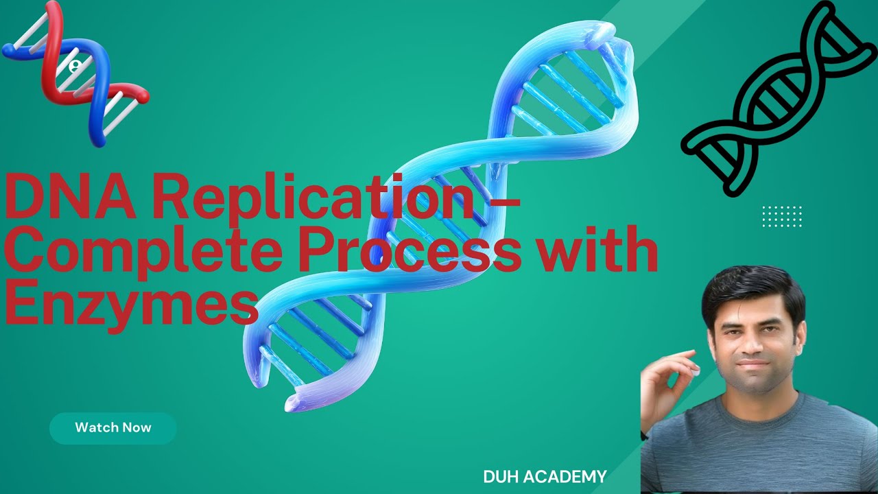 DNA Replication Explained Step by Step | Enzymes, Leading & Lagging Strand