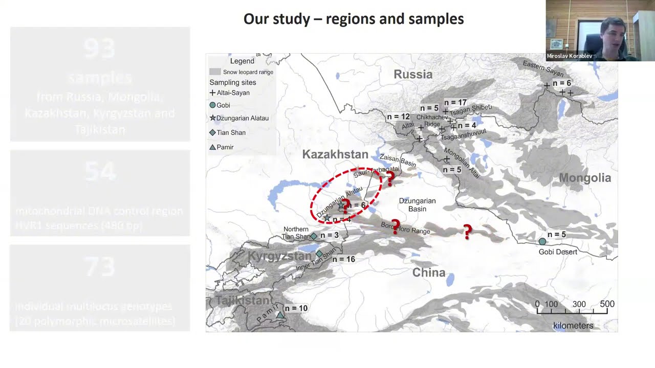 SLN Webinar: Evaluating snow leopard population connectivity: is Kazakhstan a bridge for gene flow?