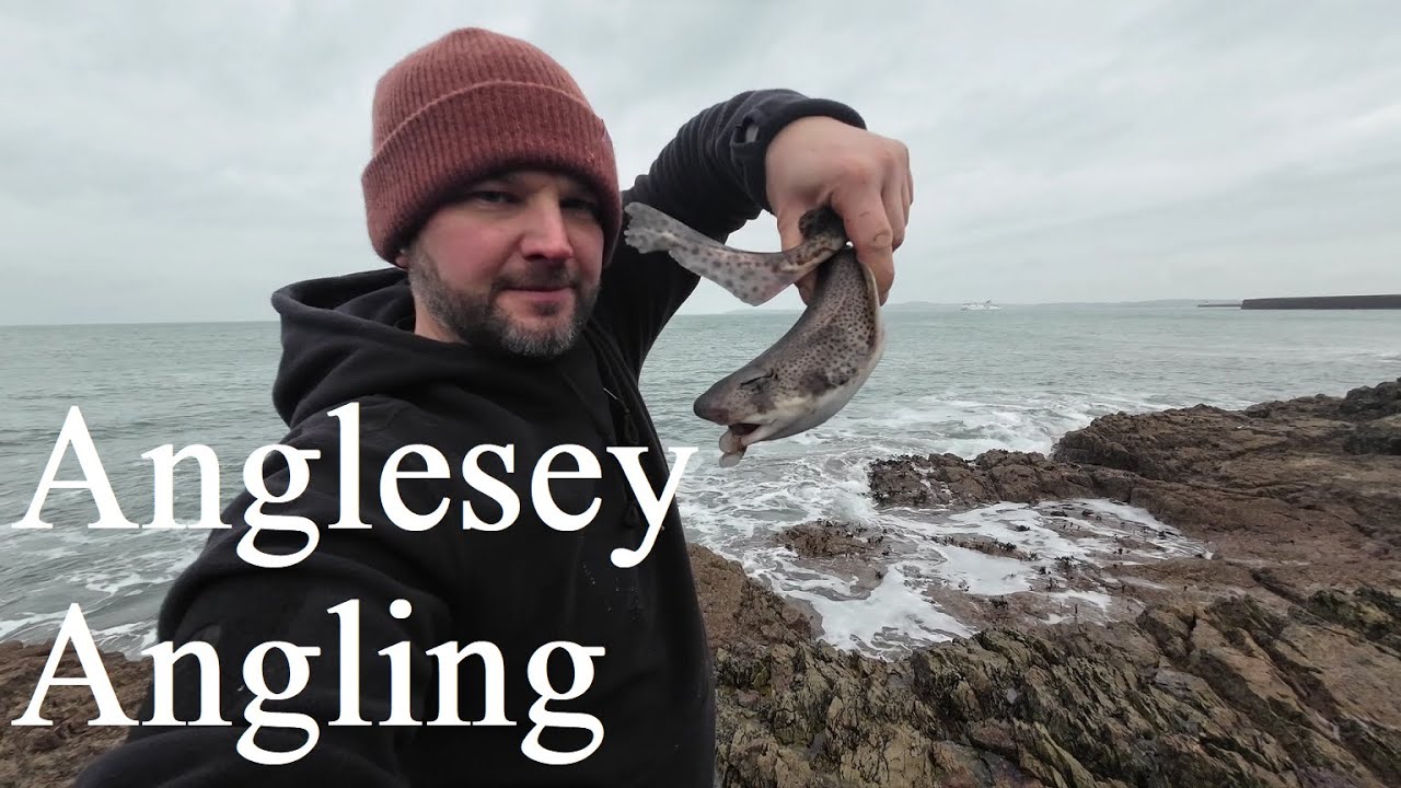 Anglesey Angling - Still Hunting for Herring & Mackerel