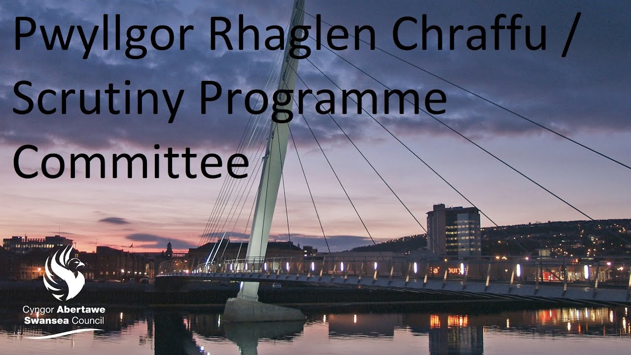 Swansea Council - Special Scrutiny Programme Committee 24 April 2020