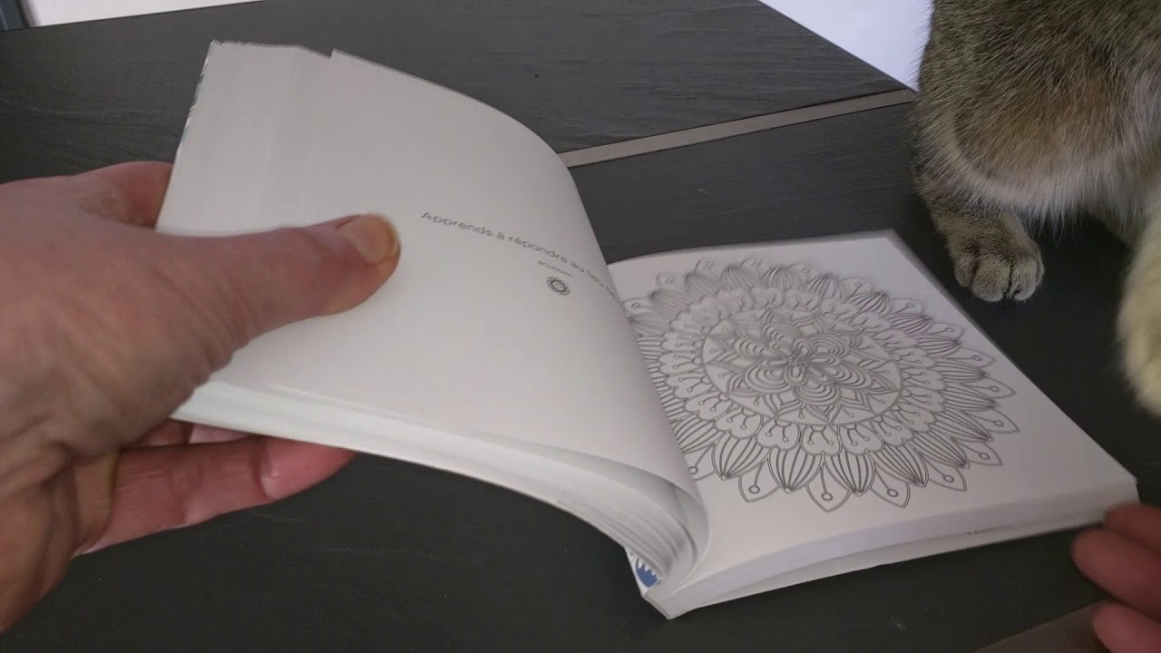 Livre de Coloriage anti-stress adulte.mandalas zen