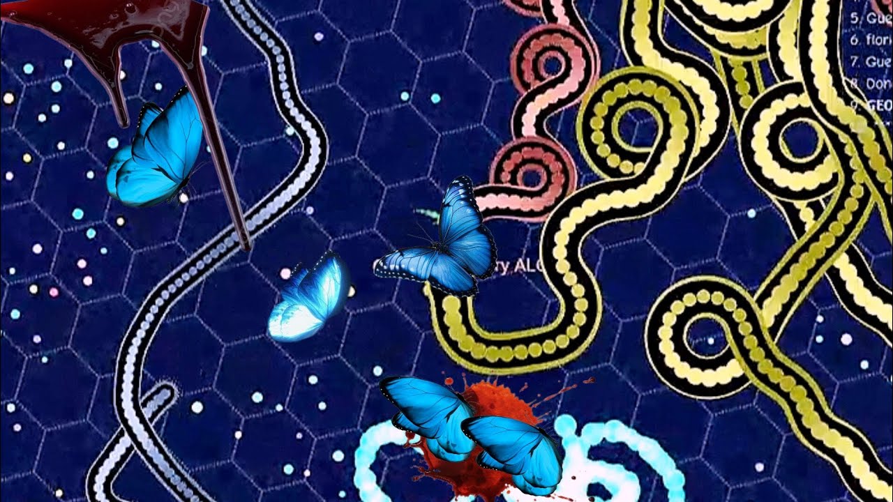 𓆩🩵𓆪