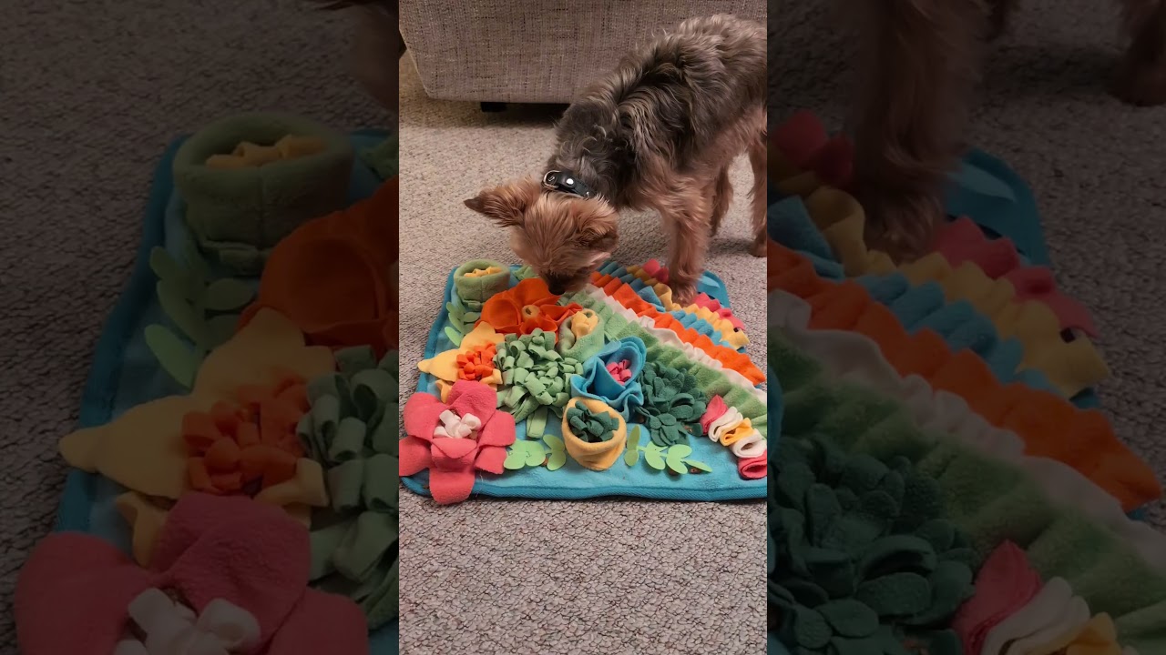 Tuff's Snuffle Mat, Christmas Present