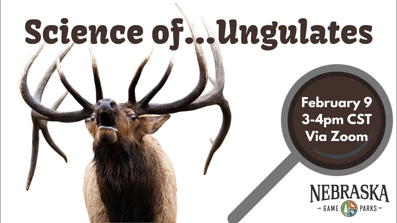 The Science of...Ungulates