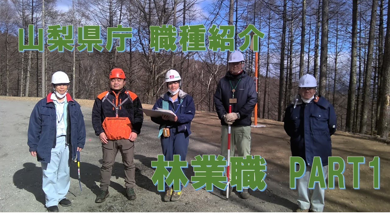 山梨県庁 職種紹介動画　～林業職Part1～