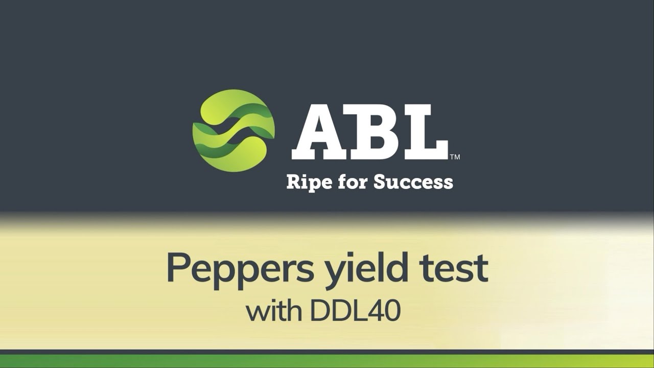 DDL40 Yield test 2020