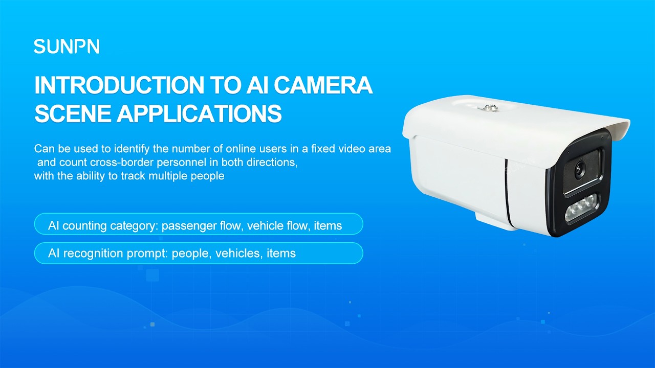 Cameras for counting customer flow in shopping malls, stores, and tourist attractions