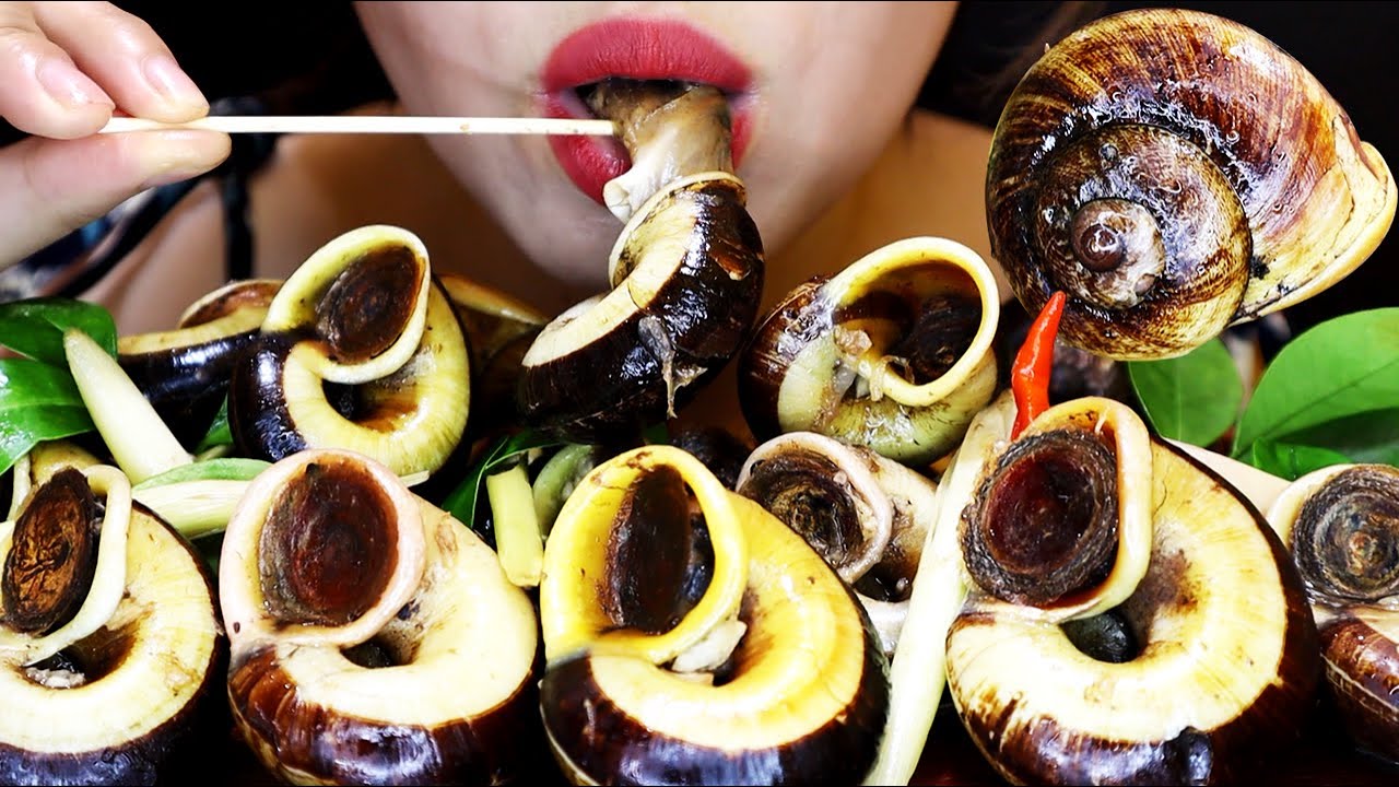 Mountain Snails Stir Fried With Thai Sauce, Ăn Ốc Núi Xào Kiểu Thái, Exotic Food, JanSan ASMR