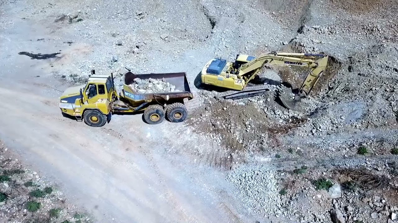 nice trans