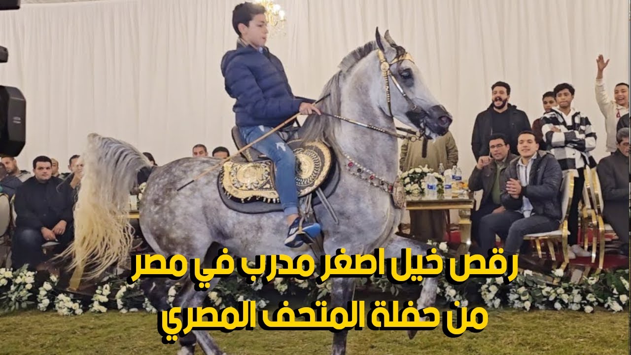 رقص خيل اصغر مدرب في مصر محمد هشام سرحان و الشيخ بدوي حفلة المتحف المصري 2023