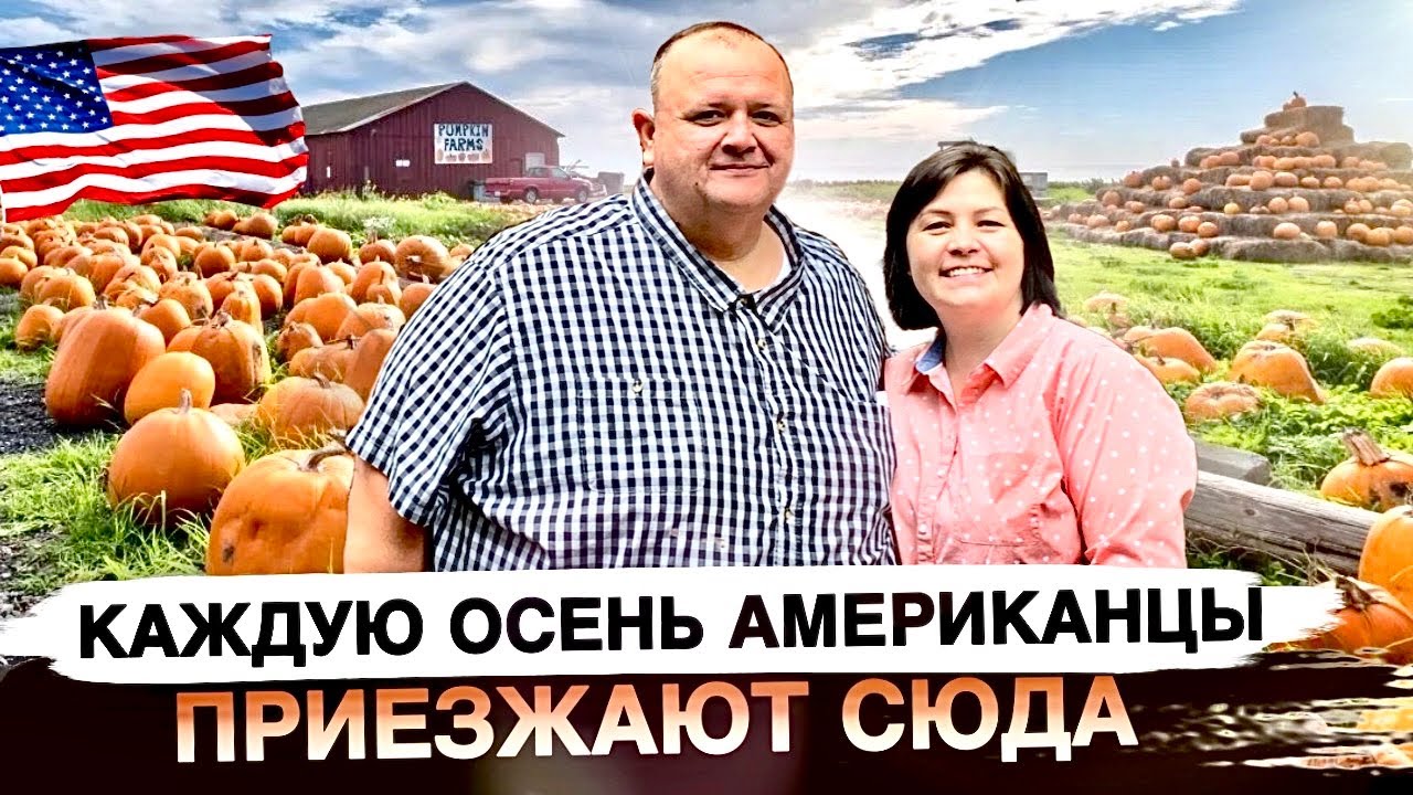 Тыквенная ферма в США ( Pumpkin Patch)  Жизнь в Америке ВЛОГ