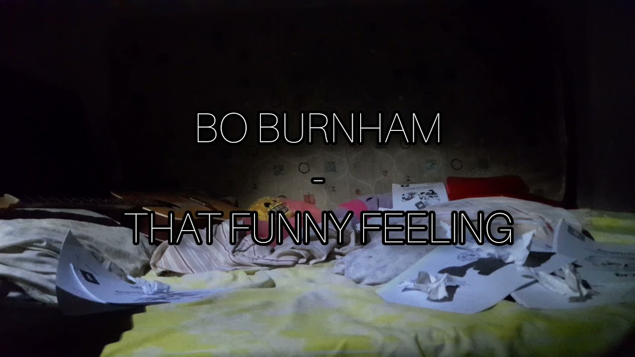 Bo Burnham - That Funny Feeling (cover/rewrite)