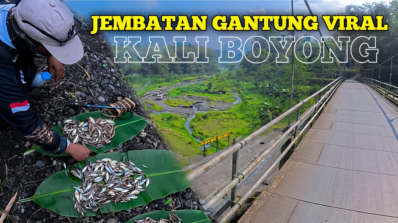 🍃 SPOT JEMBATAN GANTUNG VIRAL ‼️ KALI BOYONG ATAS DEKAT KALIURANG 💚