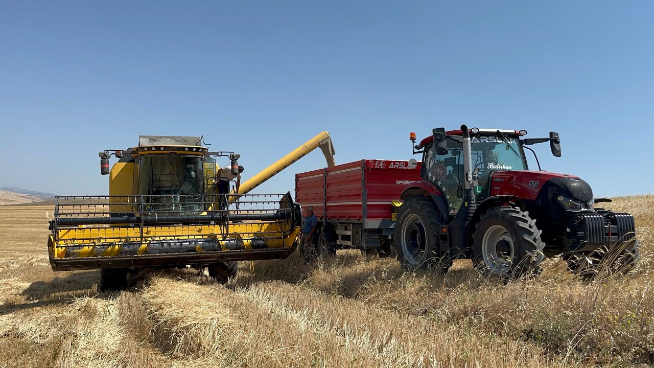 Case maxxum 125 ve tc5.90 buğday biçimi