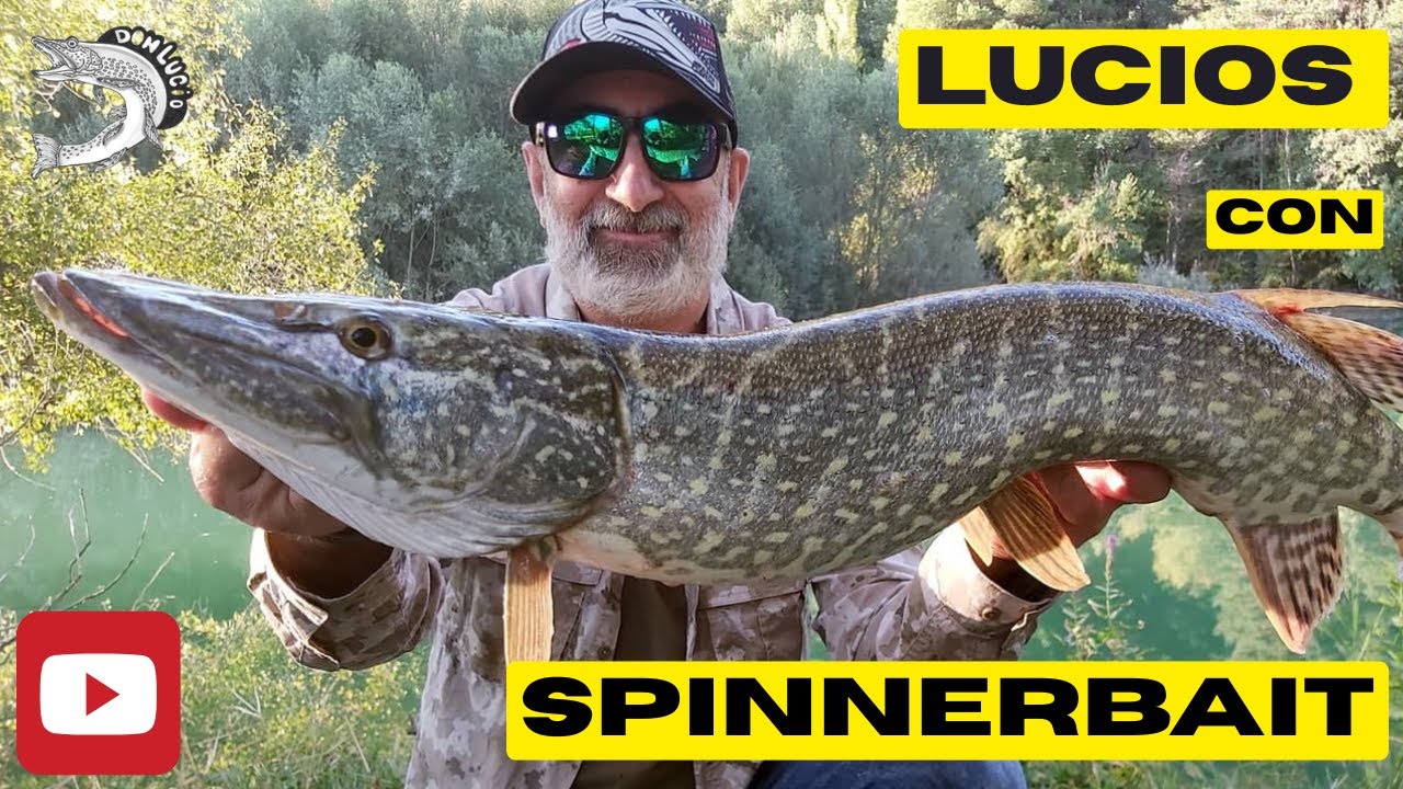 PESCANDO LUCIOS CON SPINNERBAIT